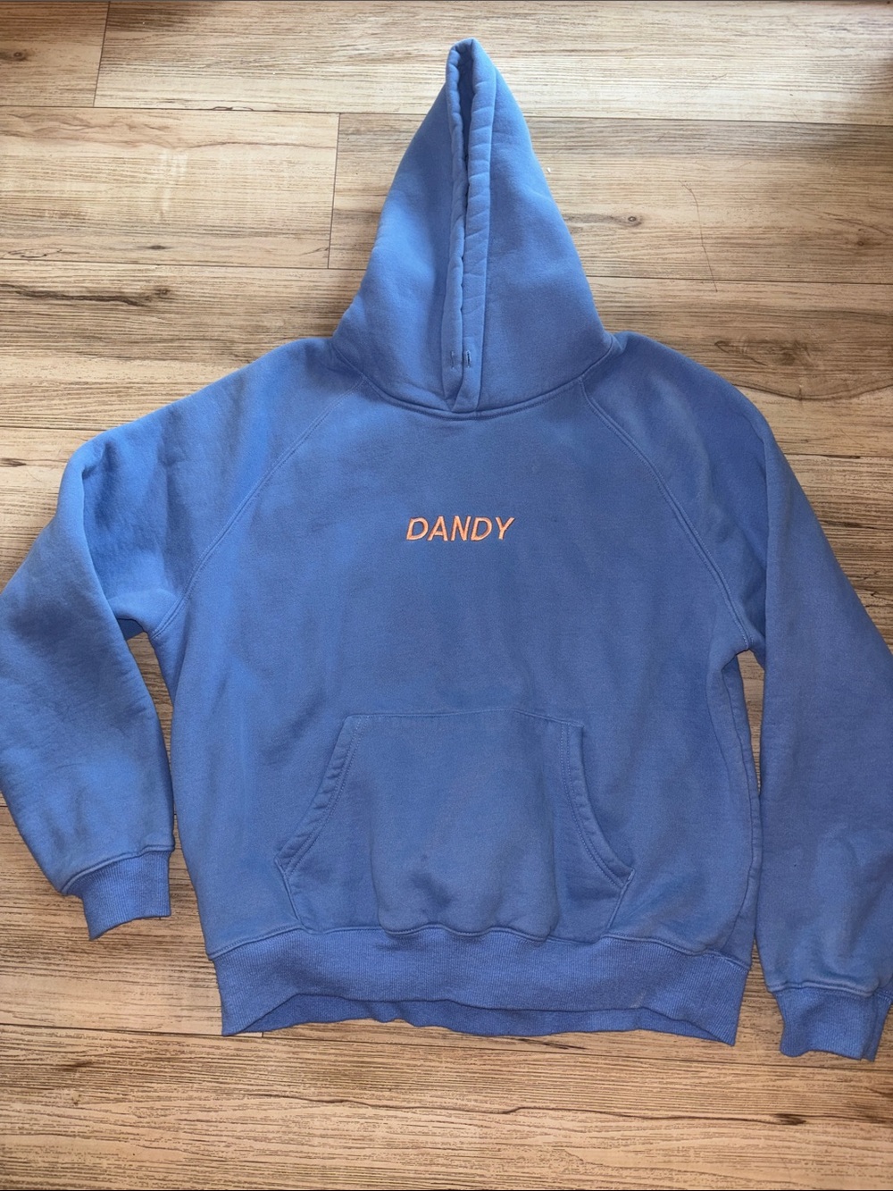 Women's Blue Hoodie Sweater